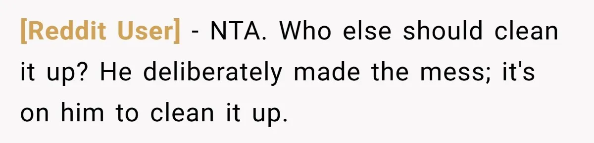 [Reddit User] − NTA. Who else should clean it up? He deliberately made the mess; it's on him to clean it up.