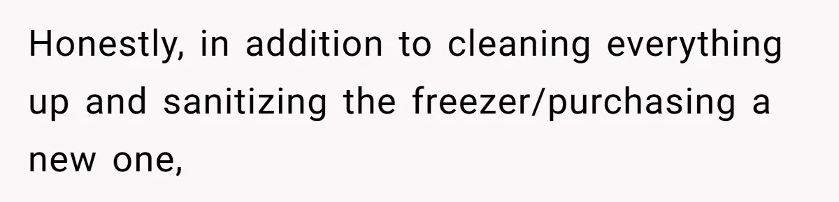 Honestly, in addition to cleaning everything up and sanitizing the freezer/purchasing a new one,