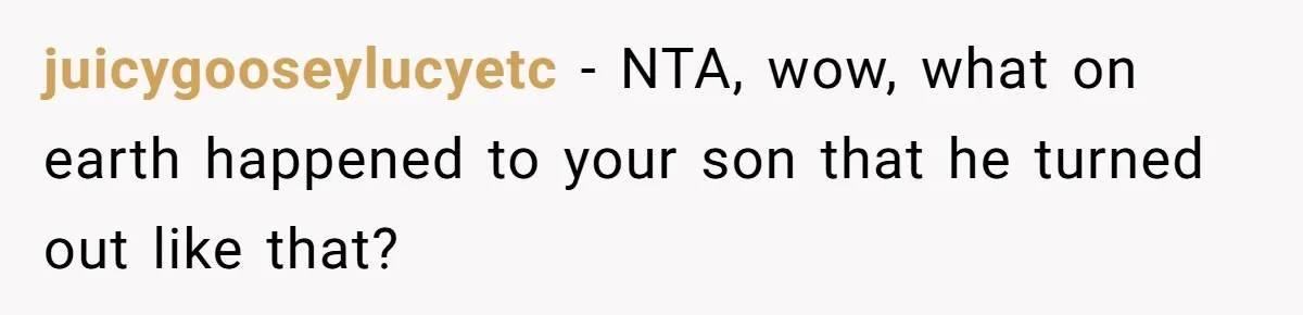 juicygooseylucyetc − NTA, wow, what on earth happened to your son that he turned out like that?
