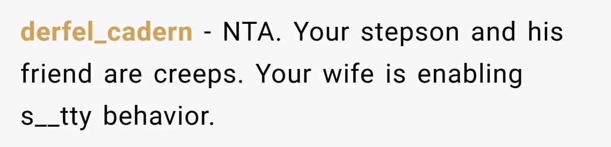 derfel_cadern − NTA. Your stepson and his friend are creeps. Your wife is enabling s__tty behavior.