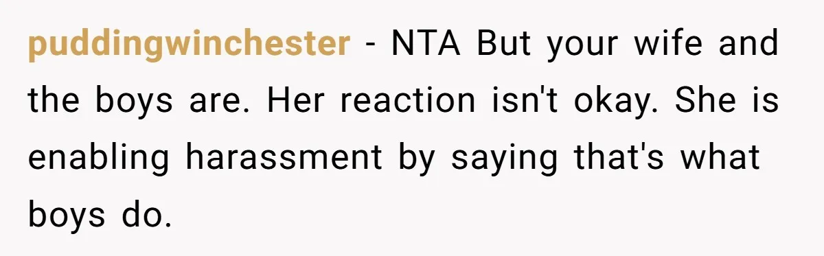 puddingwinchester − NTA But your wife and the boys are. Her reaction isn't okay. She is enabling harassment by saying that's what boys do.