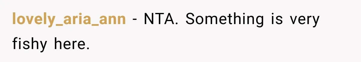 lovely_aria_ann − NTA. Something is very fishy here.
