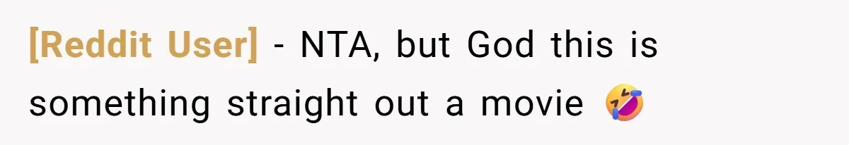 [Reddit User] − NTA, but God this is something straight out a movie 🤣