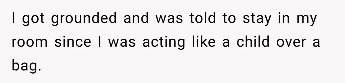 I got grounded and was told to stay in my room since I was acting like a child over a bag.