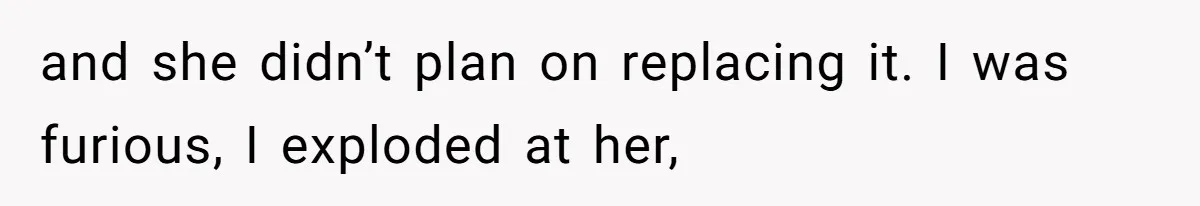 and she didn’t plan on replacing it. I was furious, I exploded at her,