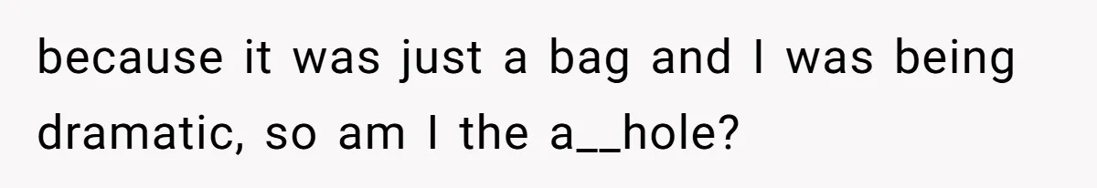 because it was just a bag and I was being dramatic, so am I the a__hole?