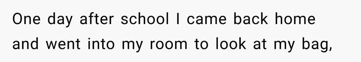 One day after school I came back home and went into my room to look at my bag,