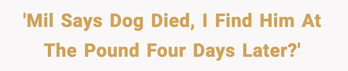 'MIL says dog died, I find him at the pound four days later?'