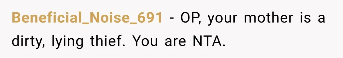 Beneficial_Noise_691 − OP, your mother is a dirty, lying thief. You are NTA.