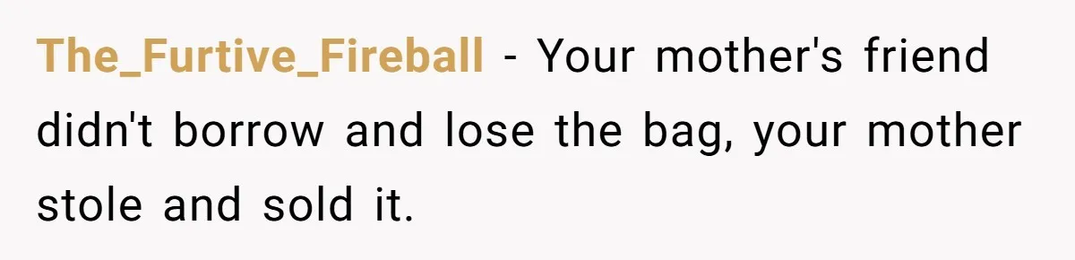 The_Furtive_Fireball − Your mother's friend didn't borrow and lose the bag, your mother stole and sold it.