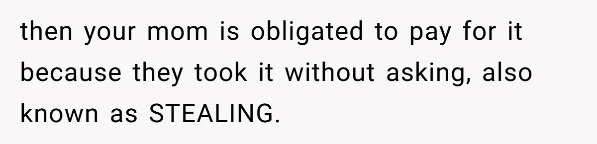 then your mom is obligated to pay for it because they took it without asking, also known as STEALING.