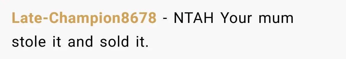 Late-Champion8678 − NTAH Your mum stole it and sold it.