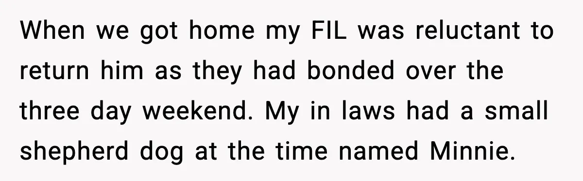 When we got home my FIL was reluctant to return him as they had bonded over the three day weekend. My in laws had a small shepherd dog at the...