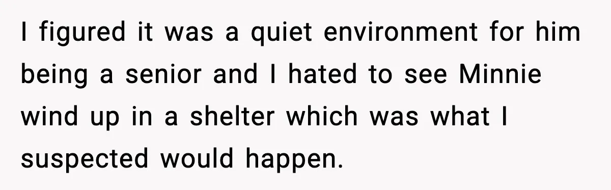 I figured it was a quiet environment for him being a senior and I hated to see Minnie wind up in a shelter which was what I suspected would happen.