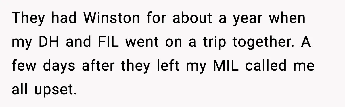 They had Winston for about a year when my DH and FIL went on a trip together. A few days after they left my MIL called me all upset.