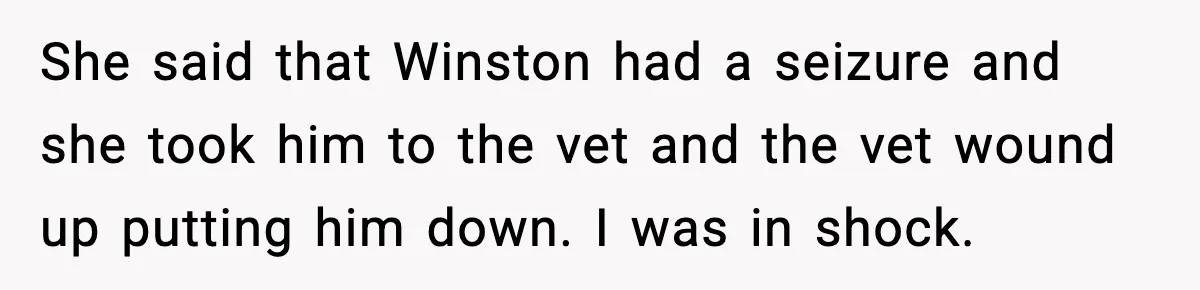 She said that Winston had a seizure and she took him to the vet and the vet wound up putting him down. I was in shock.