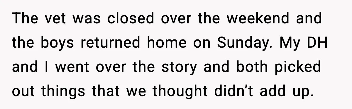 The vet was closed over the weekend and the boys returned home on Sunday. My DH and I went over the story and both picked out things that we thought...