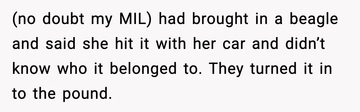 (no doubt my MIL) had brought in a beagle and said she hit it with her car and didn’t know who it belonged to. They turned it in to the...