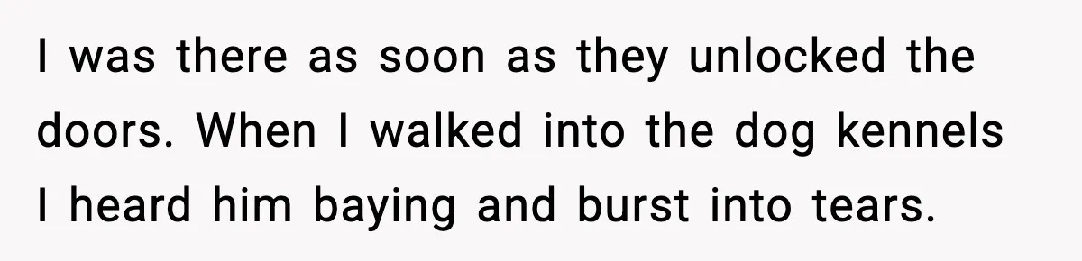 I was there as soon as they unlocked the doors. When I walked into the dog kennels I heard him baying and burst into tears.