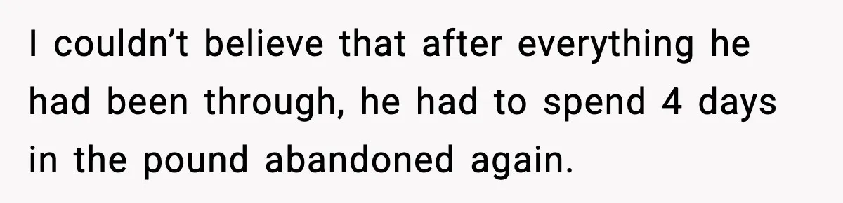 I couldn’t believe that after everything he had been through, he had to spend 4 days in the pound abandoned again.