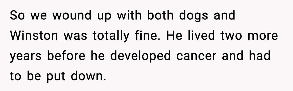 So we wound up with both dogs and Winston was totally fine. He lived two more years before he developed cancer and had to be put down.