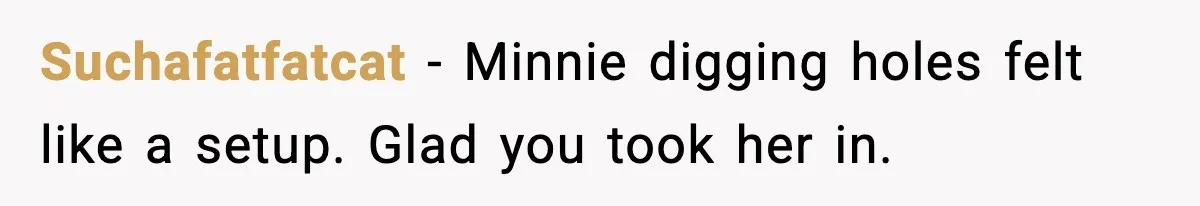 Suchafatfatcat - Minnie digging holes felt like a setup. Glad you took her in.