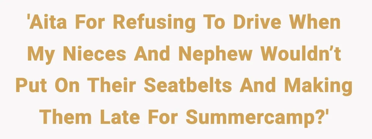 'AITA for refusing to drive when my nieces and nephew wouldn’t put on their seatbelts and making them late for summercamp?'