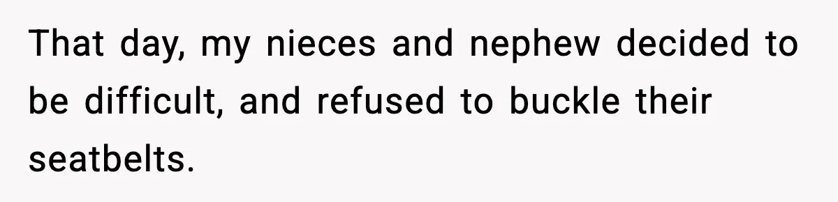 That day, my nieces and nephew decided to be difficult, and refused to buckle their seatbelts.