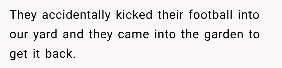 They accidentally kicked their football into our yard and they came into the garden to get it back.