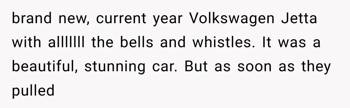 brand new, current year Volkswagen Jetta with alllllll the bells and whistles. It was a beautiful, stunning car. But as soon as they pulled