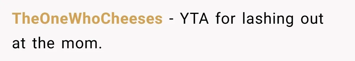 TheOneWhoCheeses − YTA for lashing out at the mom.