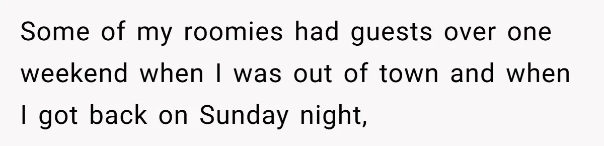 Some of my roomies had guests over one weekend when I was out of town and when I got back on Sunday night,