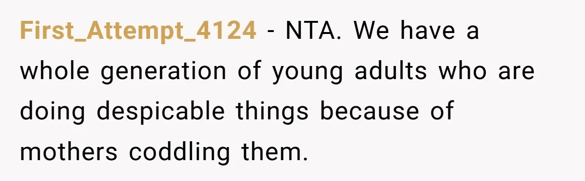 First_Attempt_4124 − NTA. We have a whole generation of young adults who are doing despicable things because of mothers coddling them.