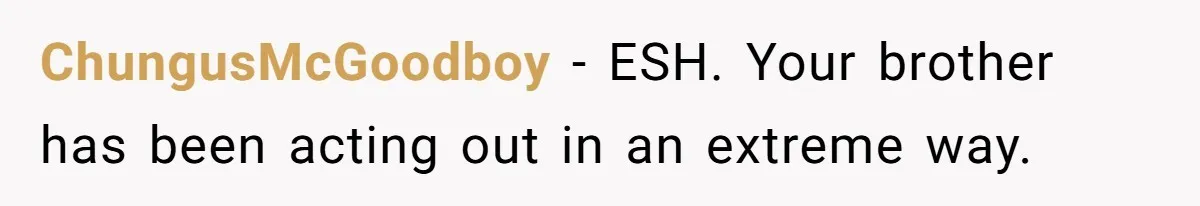 ChungusMcGoodboy − ESH. Your brother has been acting out in an extreme way.
