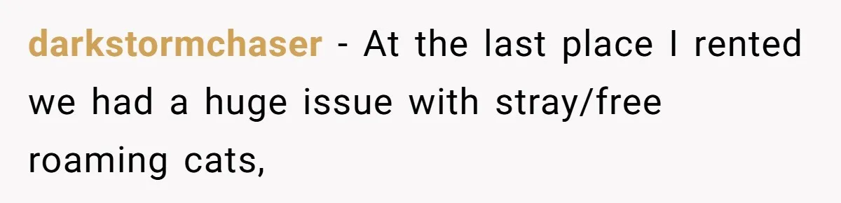 Man Repeatedly Sprays Soccer Kid With Garden Hose After He Walks On His Lawn darkstormchaser − At the last place I rented we had a huge issue with stray/free roaming cats,