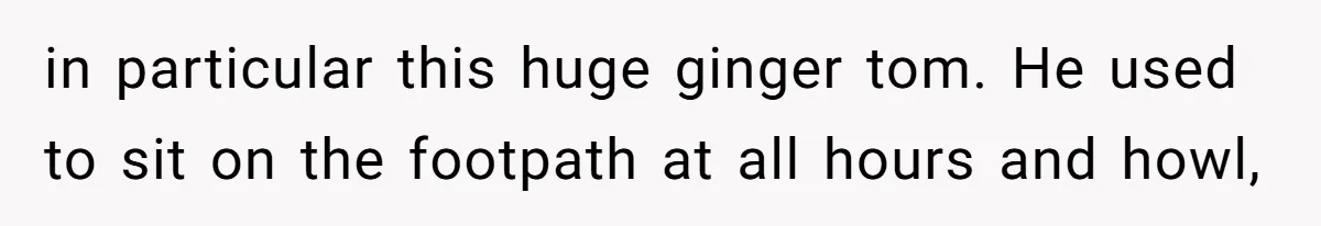 Man Repeatedly Sprays Soccer Kid With Garden Hose After He Walks On His Lawn in particular this huge ginger tom. He used to sit on the footpath at all hours and howl,