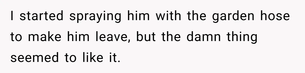 Man Repeatedly Sprays Soccer Kid With Garden Hose After He Walks On His Lawn I started spraying him with the garden hose to make him leave, but the damn thing seemed to like it.