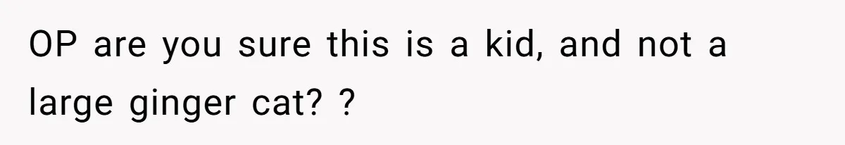 Man Repeatedly Sprays Soccer Kid With Garden Hose After He Walks On His Lawn OP are you sure this is a kid, and not a large ginger cat? ?