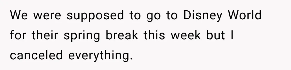We were supposed to go to Disney World for their spring break this week but I canceled everything.