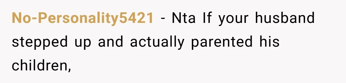 No-Personality5421 − Nta If your husband stepped up and actually parented his children,