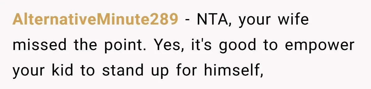 Dad Explains Legal Consequences To His Son After School Ignores Bullying, Forcing Principal To Finally Take Action AlternativeMinute289 − NTA, your wife missed the point. Yes, it's good to empower your kid to stand up for himself,