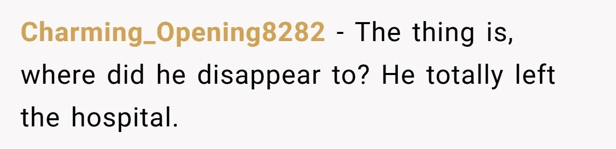 Charming_Opening8282 − The thing is, where did he disappear to? He totally left the hospital.