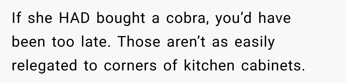 If she HAD bought a cobra, you’d have been too late. Those aren’t as easily relegated to corners of kitchen cabinets.
