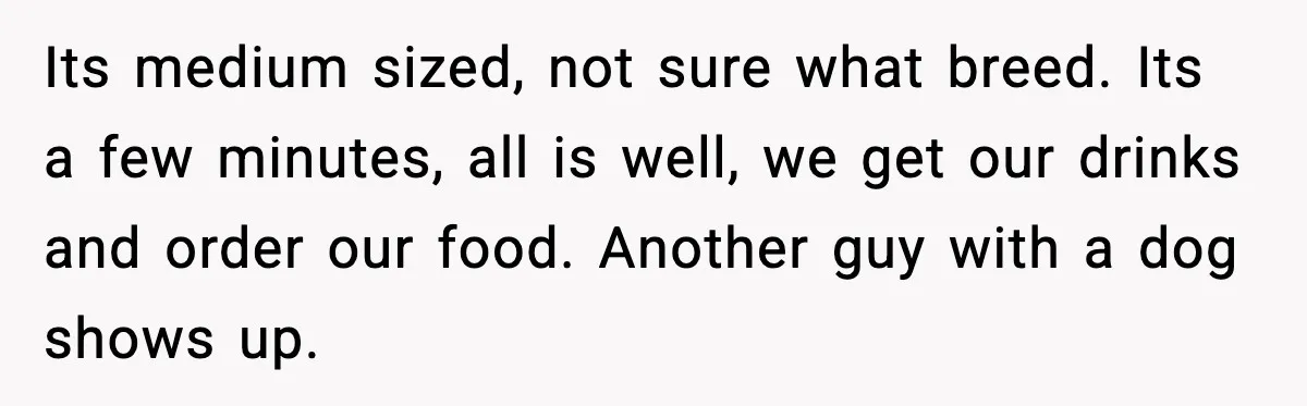 Its medium sized, not sure what breed. Its a few minutes, all is well, we get our drinks and order our food. Another guy with a dog shows up.