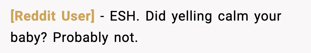[Reddit User] - ESH. Did yelling calm your baby? Probably not.