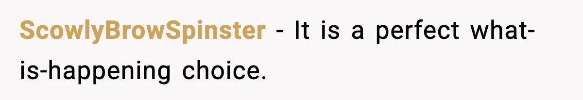 ScowlyBrowSpinster - It is a perfect what-is-happening choice.