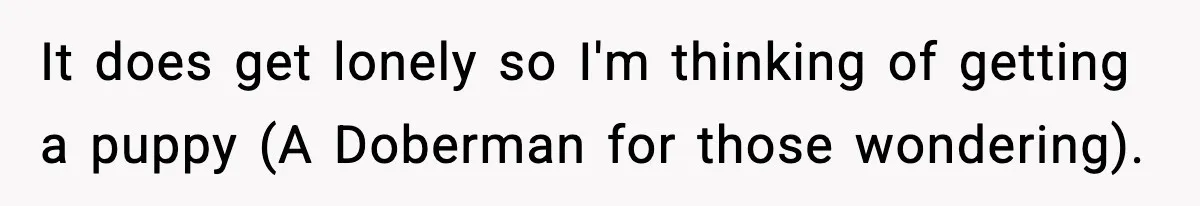 It does get lonely so I'm thinking of getting a puppy (A Doberman for those wondering).