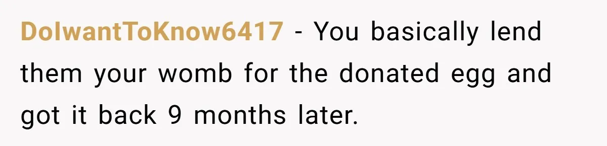 DoIwantToKnow6417 − You basically lend them your womb for the donated egg and got it back 9 months later.