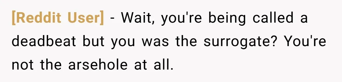 [Reddit User] − Wait, you're being called a deadbeat but you was the surrogate? You're not the arsehole at all.