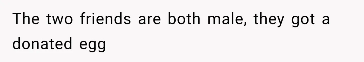 The two friends are both male, they got a donated egg